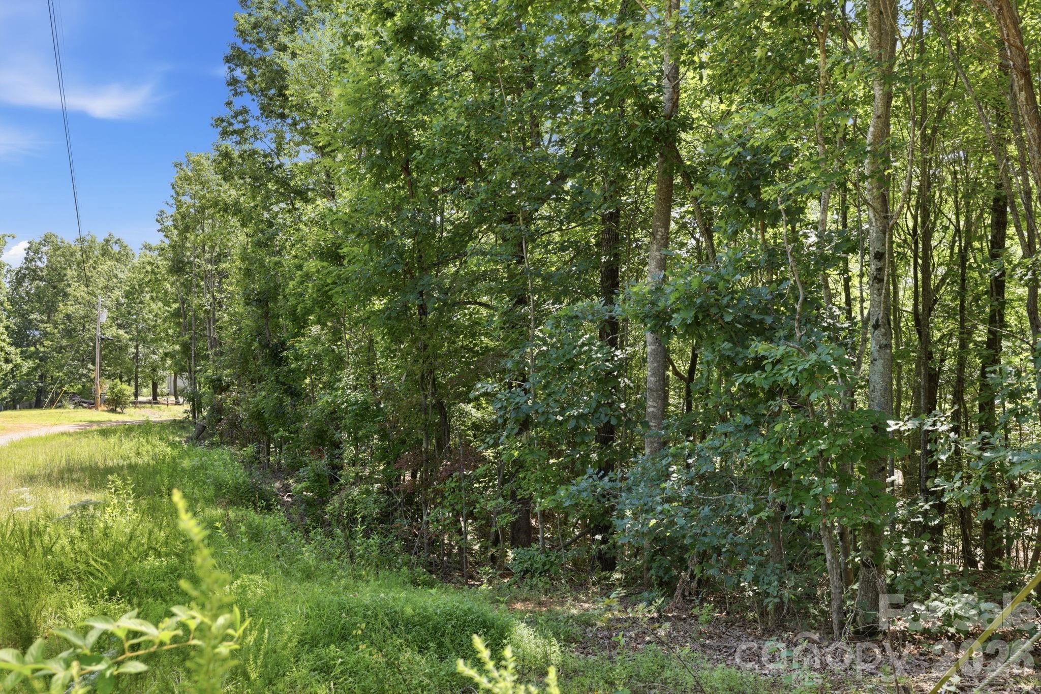 464 Mason Road Ellenboro, NC 28040 - Photo 39 of 48 Gallery Image 39