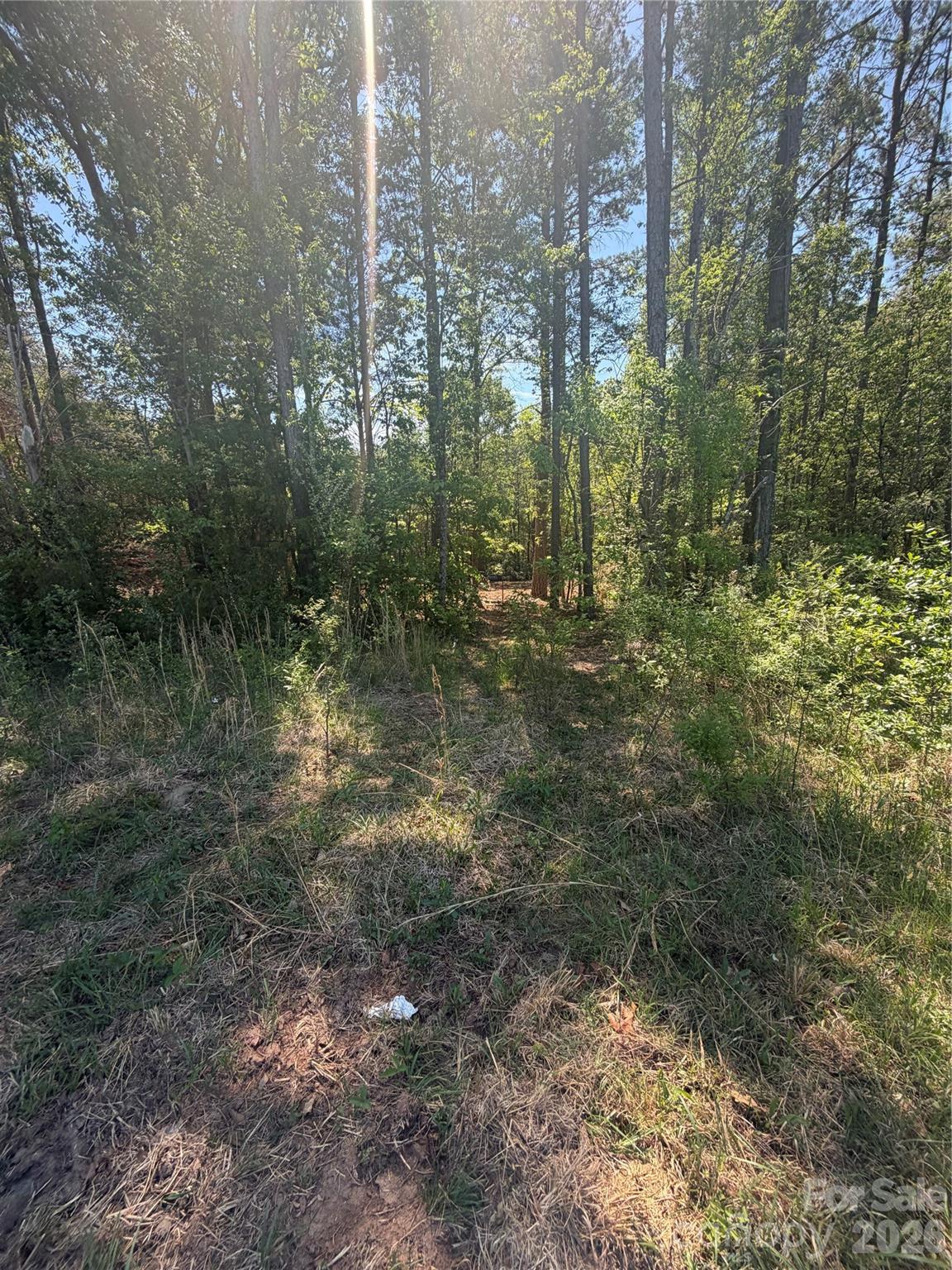 5548 King Wilkinson Road Denver, NC 28037 - Photo 3 of 7