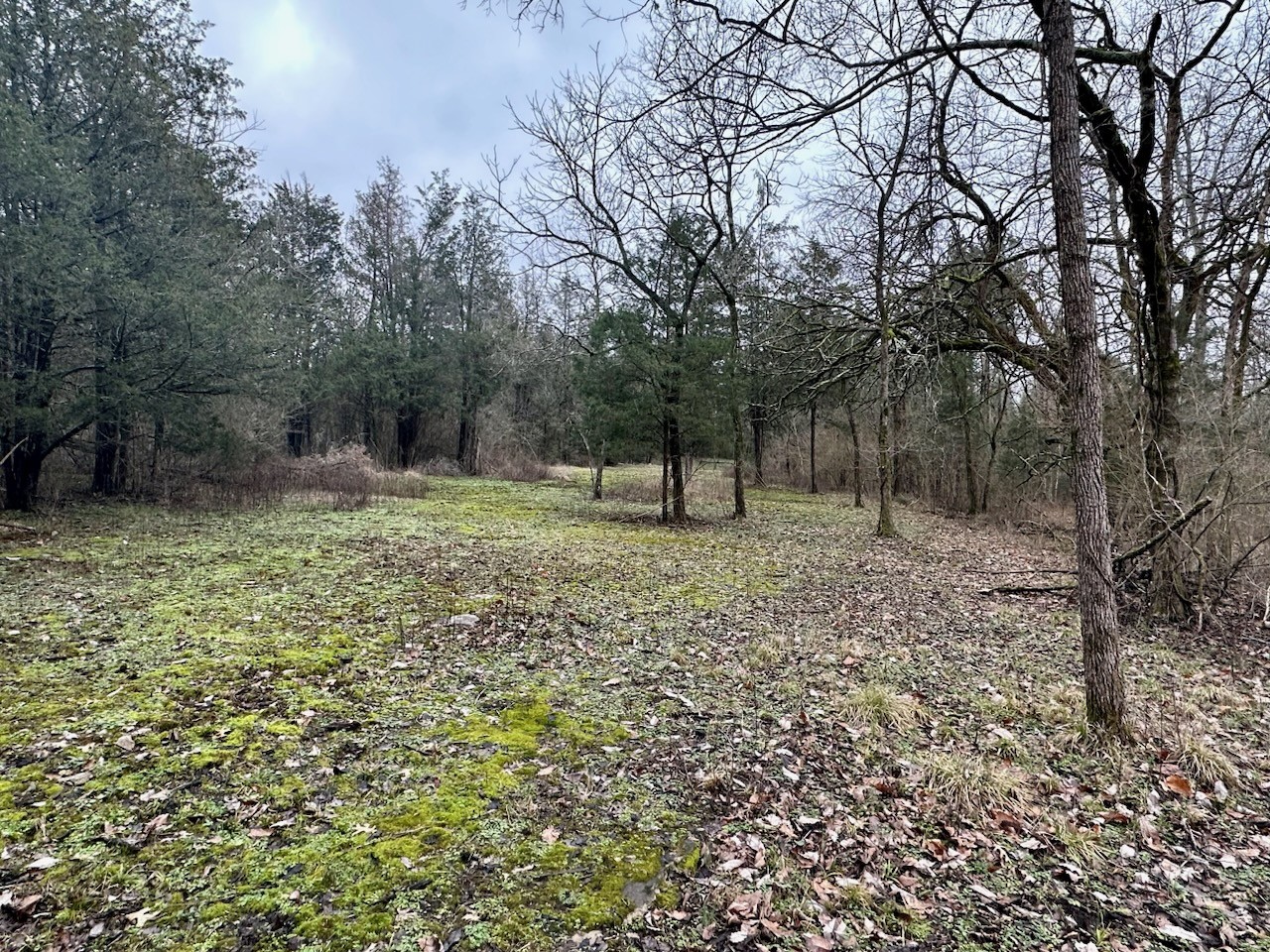 1495 Old Tva Road Columbia, TN 38401 - Photo 15 of 29 Gallery Image 15