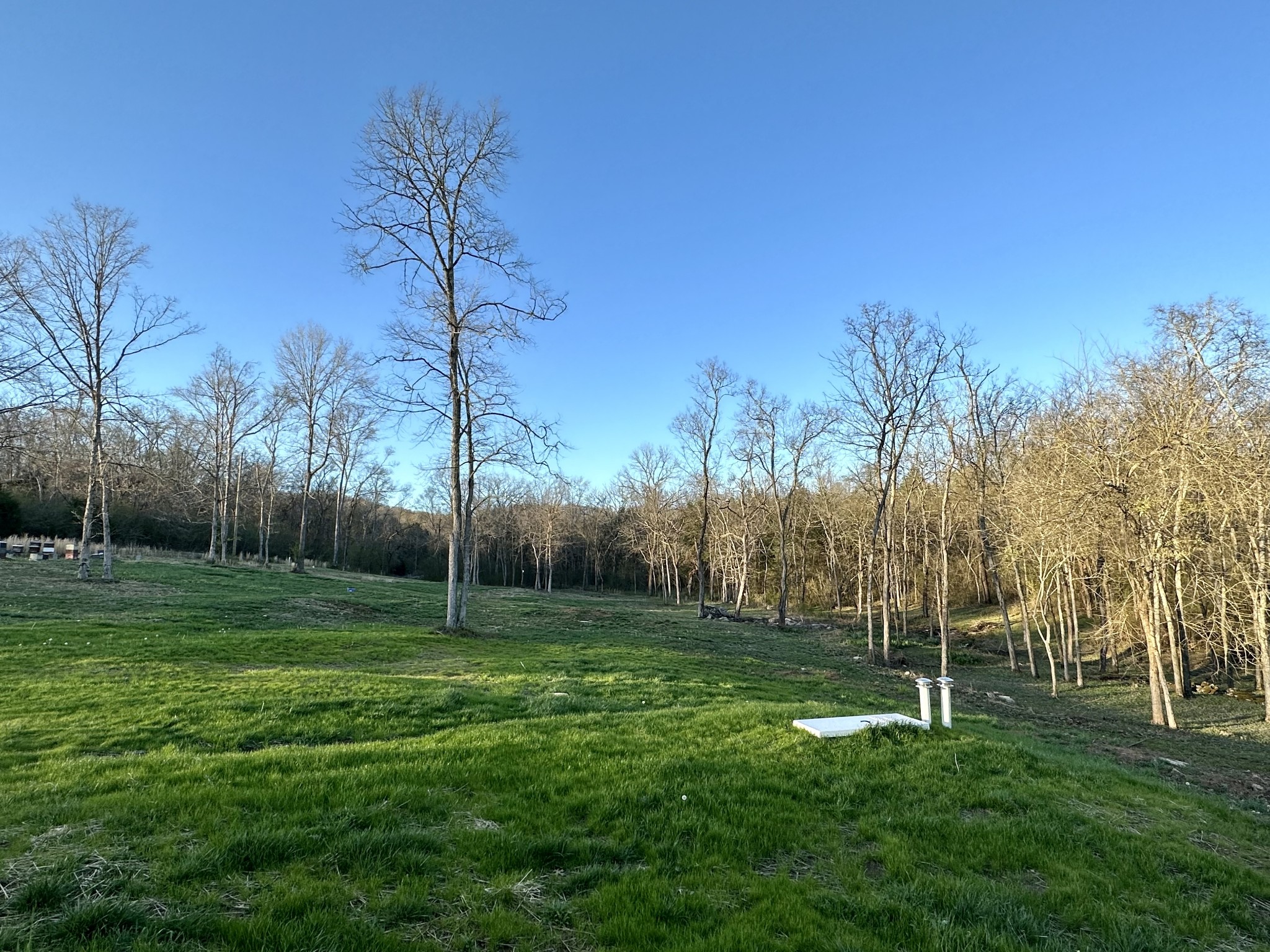 1495 Old Tva Road Columbia, TN 38401 - Photo 17 of 29 Gallery Image 17