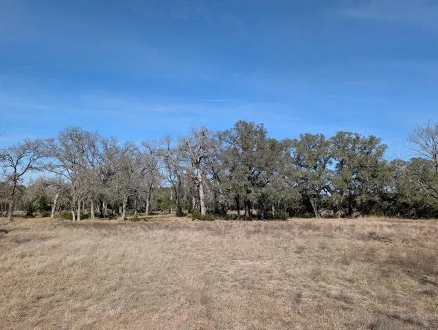 a view of backyard with green space