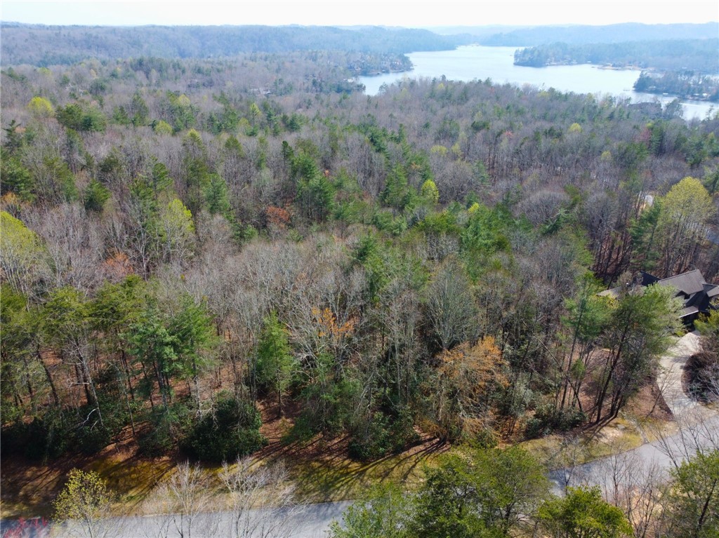 107 Bell Flower Drive Sunset, SC 29685 - Photo 11 of 14