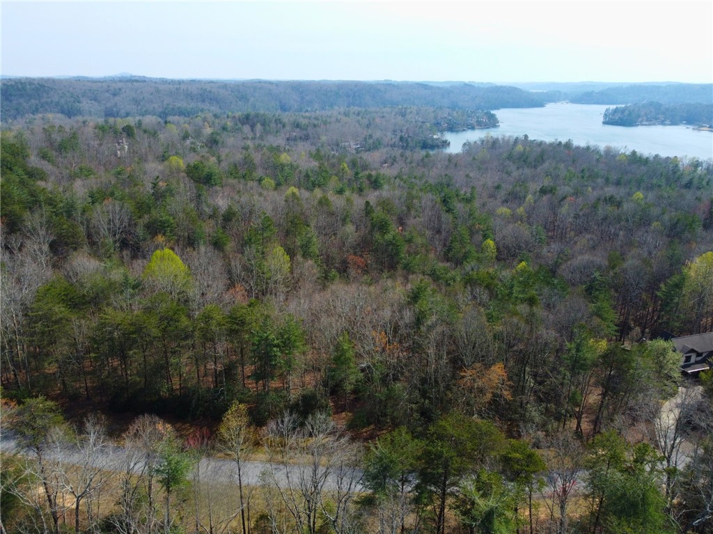 107 Bell Flower Drive Sunset, SC 29685 - Photo 12 of 14