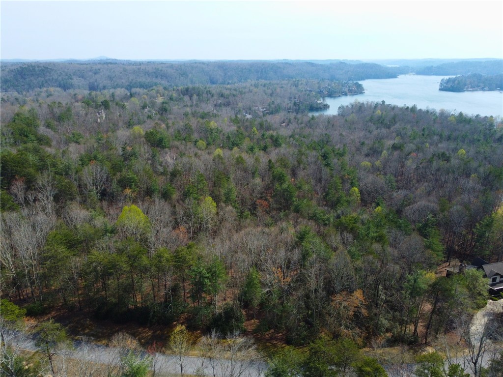 107 Bell Flower Drive Sunset, SC 29685 - Photo 13 of 14