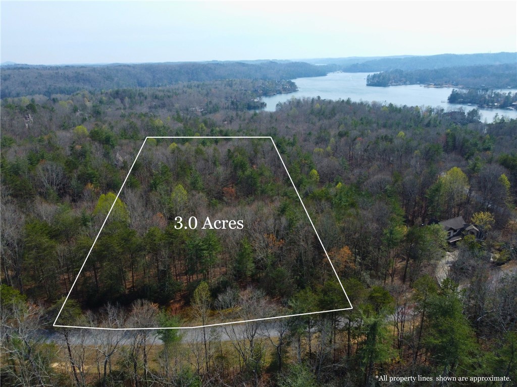 107 Bell Flower Drive Sunset, SC 29685 - Photo 2 of 14 Aerial photographs: Property lines depicted on aerial photographs may not be representative of actual property lines.