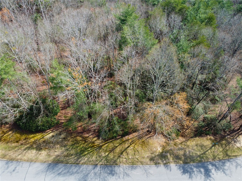 107 Bell Flower Drive Sunset, SC 29685 - Photo 4 of 14