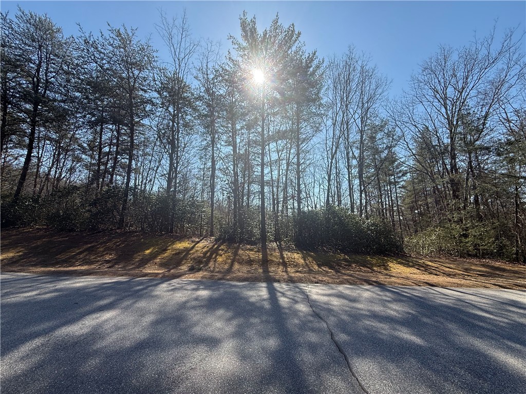 107 Bell Flower Drive Sunset, SC 29685 - Photo 5 of 14