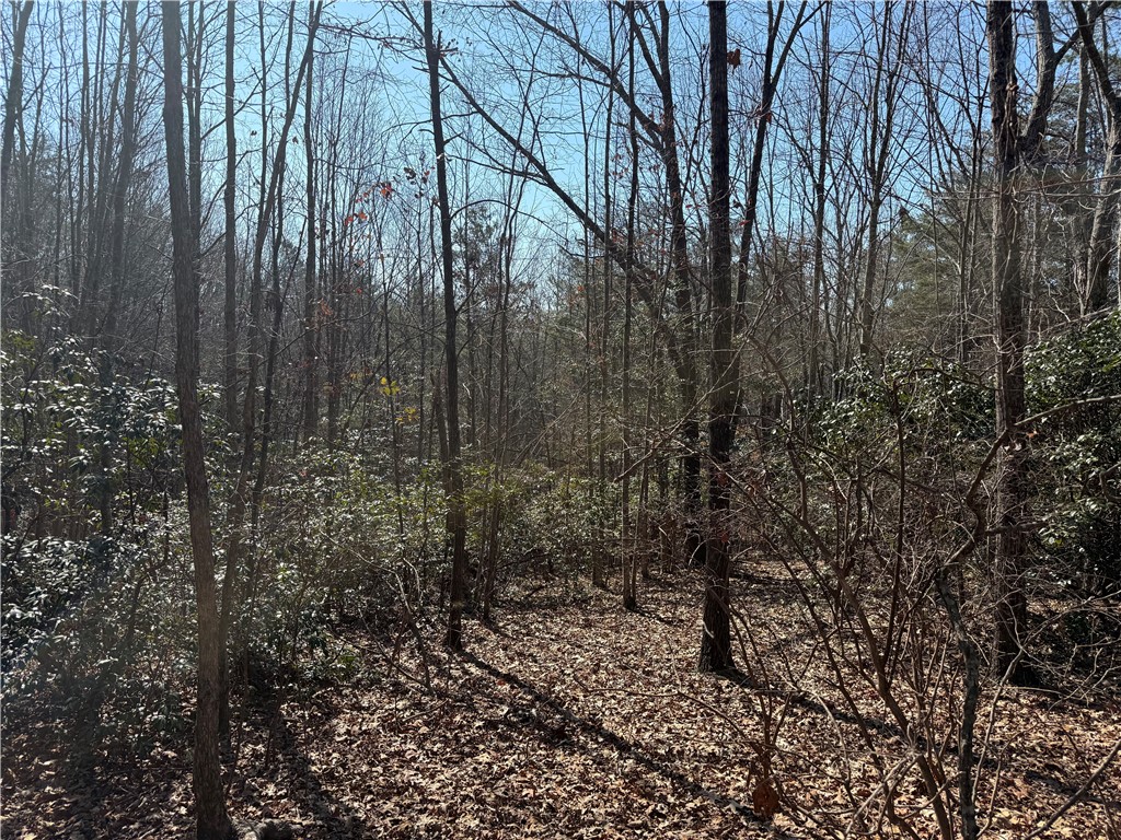 107 Bell Flower Drive Sunset, SC 29685 - Photo 6 of 14