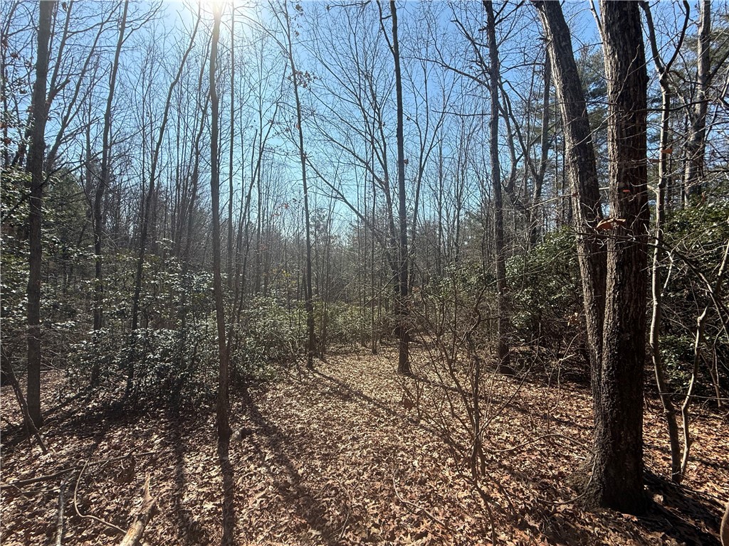 107 Bell Flower Drive Sunset, SC 29685 - Photo 7 of 14