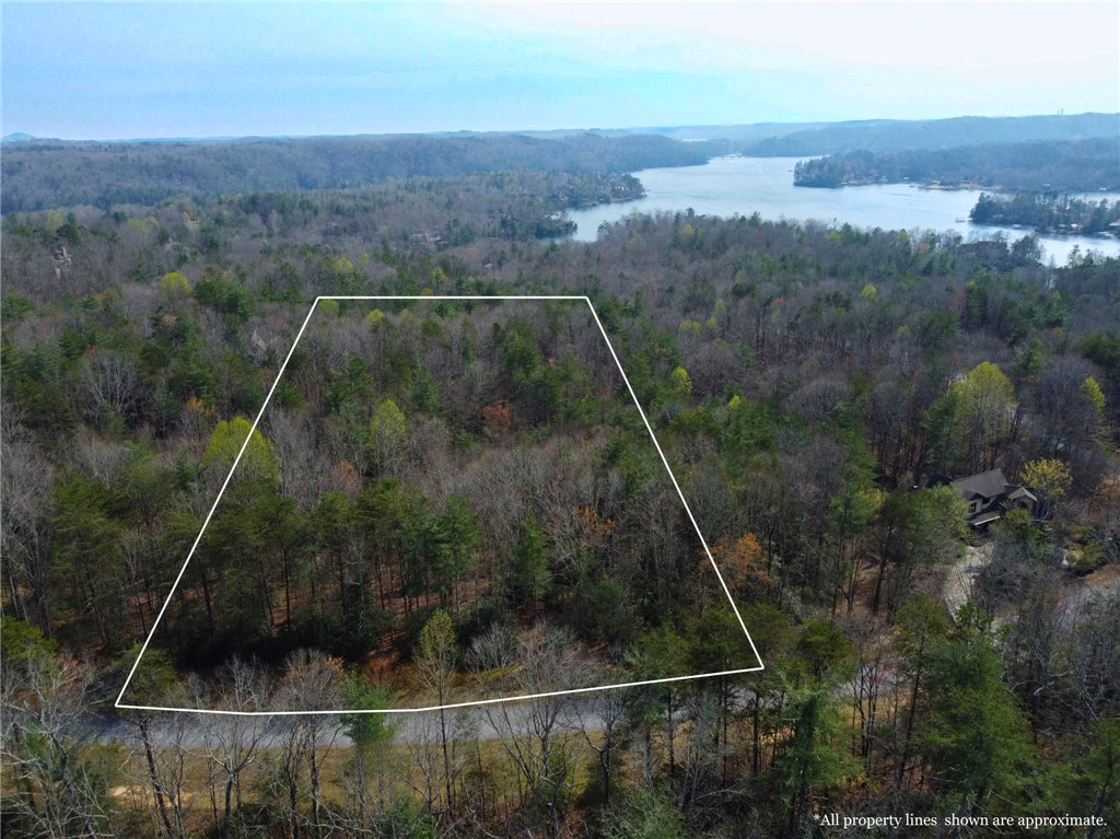 107 Bell Flower Drive Sunset, SC 29685 - Photo 8 of 14 Aerial photographs: Property lines depicted on aerial photographs may not be representative of actual property lines.