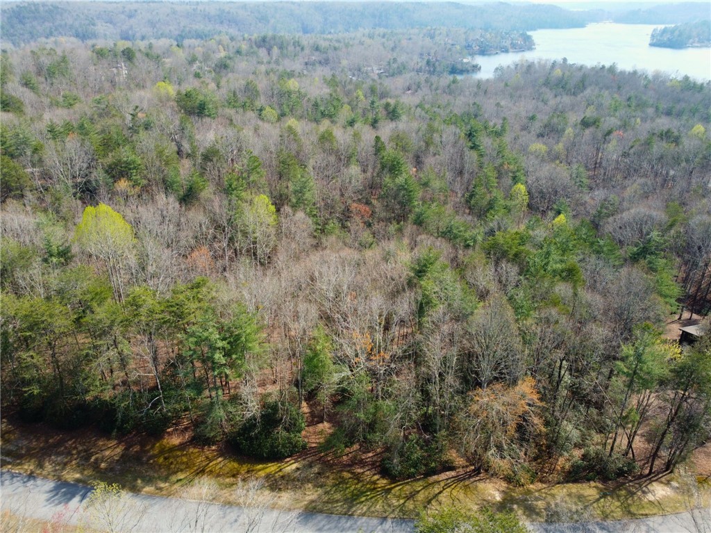 107 Bell Flower Drive Sunset, SC 29685 - Photo 10 of 14