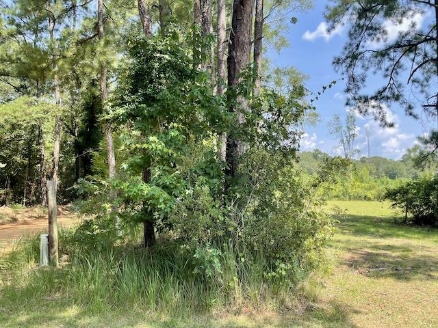 71290 Ralph Gantt Road Little River, AL 36550 - Photo 21 of 31
