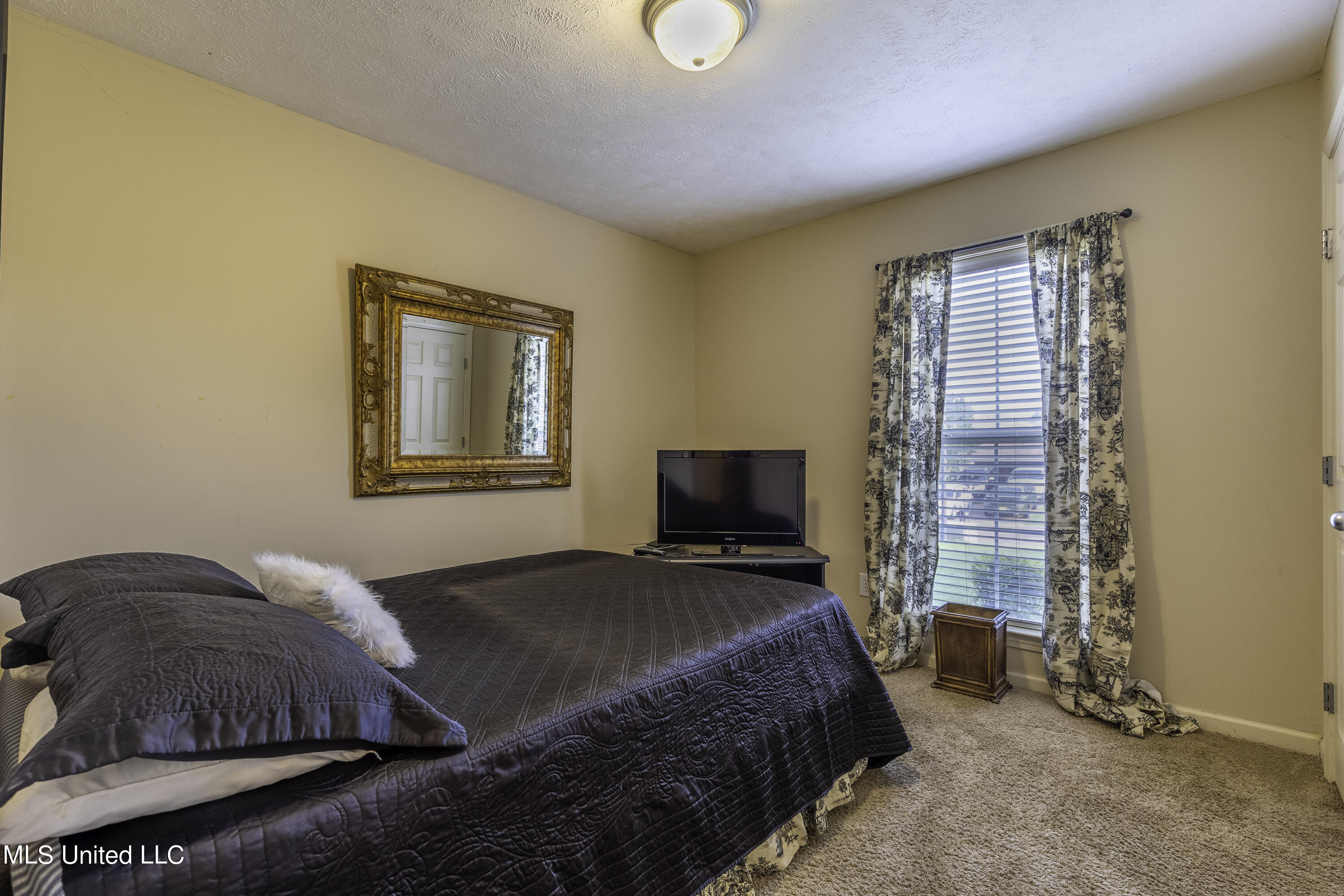 373 Briar View Drive Brandon, MS 39042 - Photo 11 of 13 7H8A5906-HDR-Edit