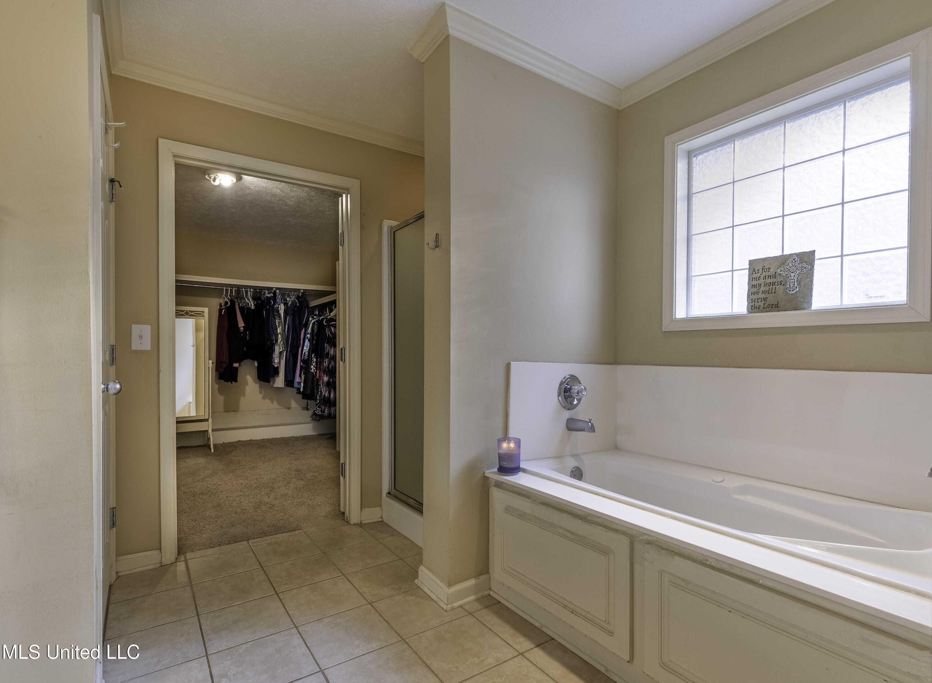 373 Briar View Drive Brandon, MS 39042 - Photo 4 of 13 7H8A5847-HDR-Edit