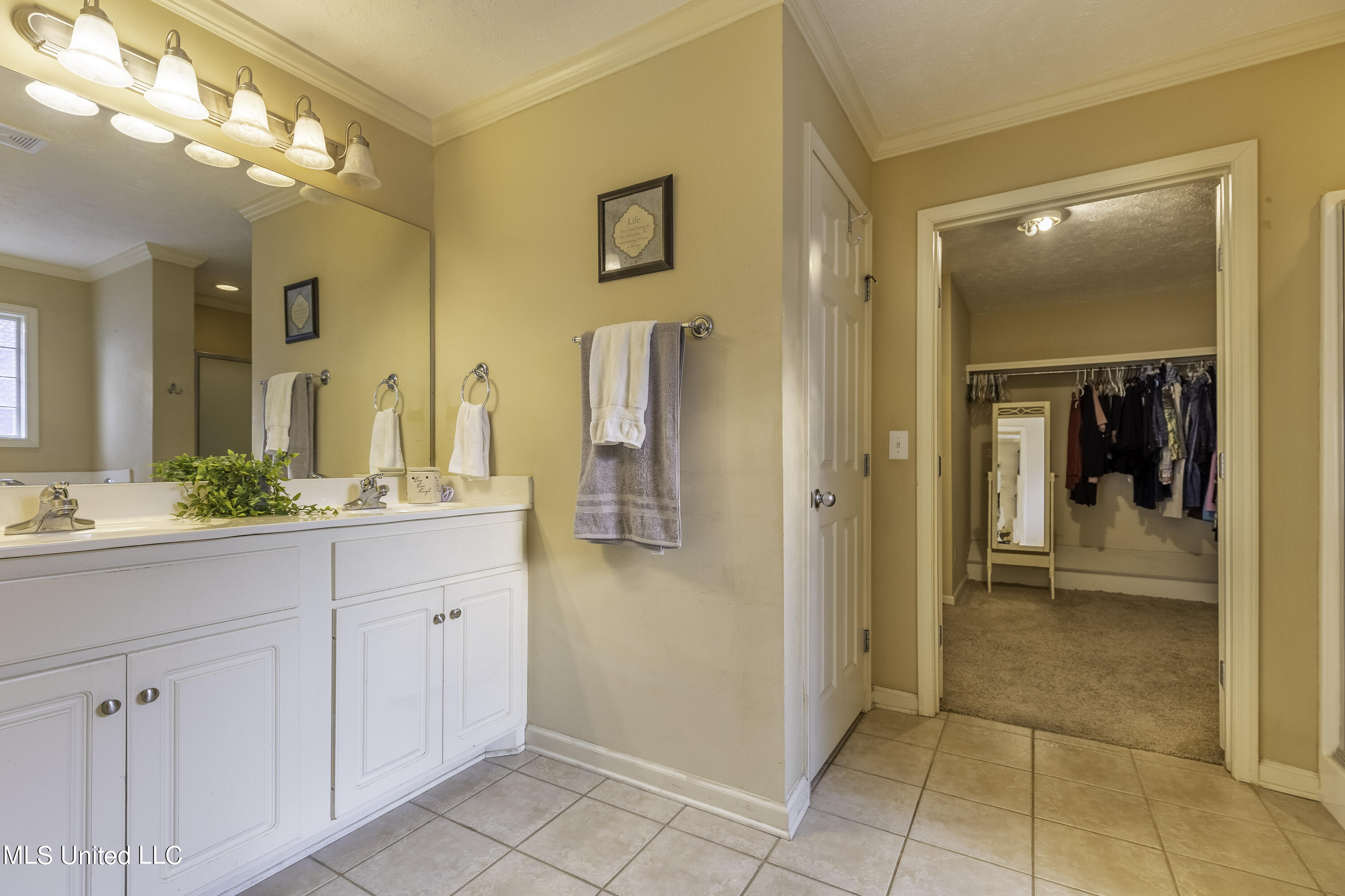 373 Briar View Drive Brandon, MS 39042 - Photo 5 of 13 7H8A5860-HDR-Edit