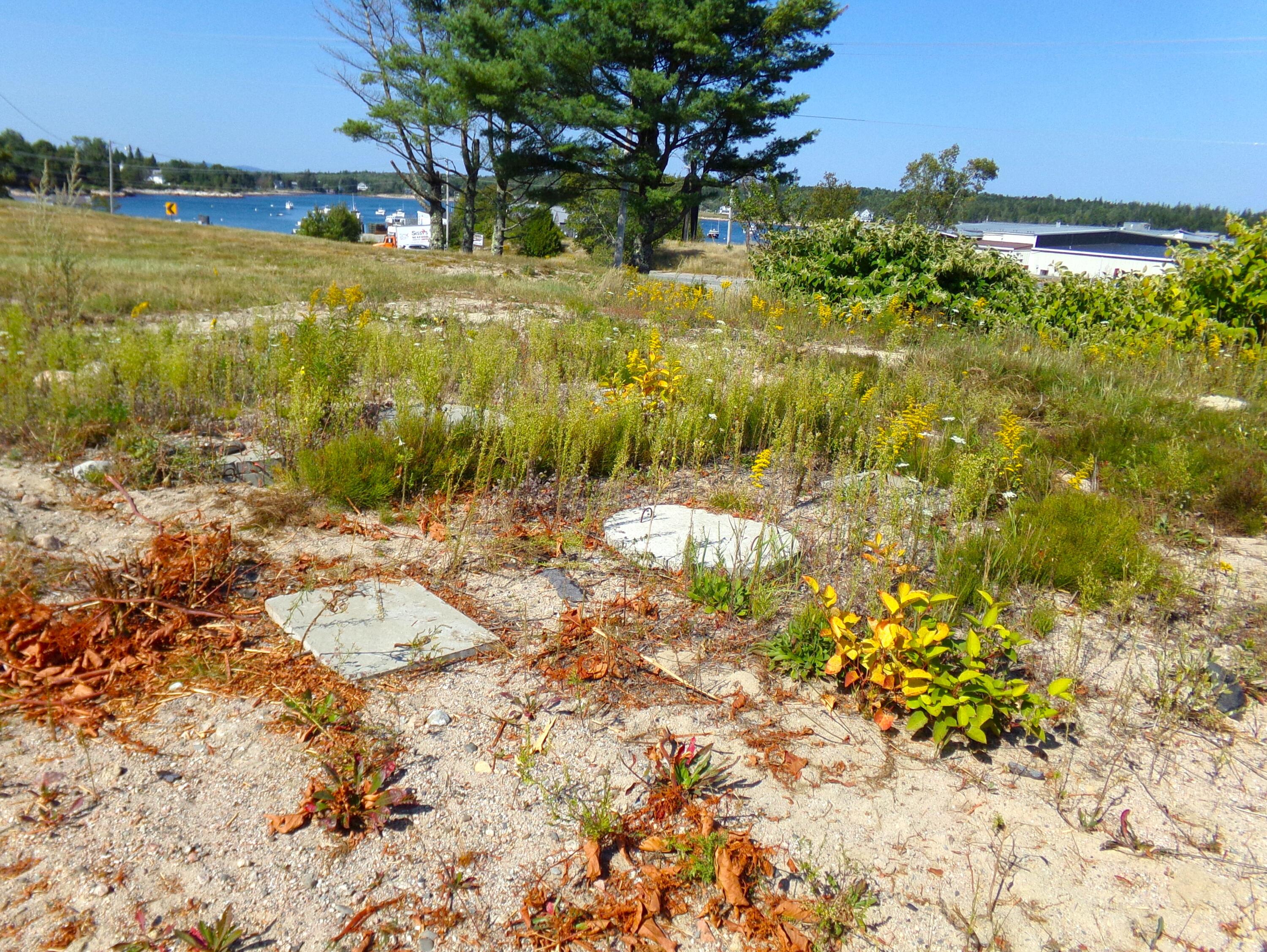 210 Main Street Prospect Harbor, ME 04669 - Photo 7 of 12 7.main.135_3522