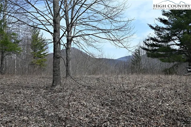 $175,000 | Lot #10 Solitude Lane, Todd, NC 28684