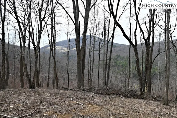 $175,000 | Lot #10 Solitude Lane, Todd, NC 28684
