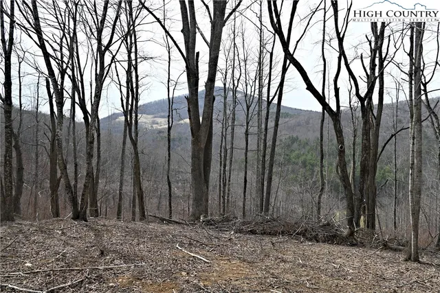 $175,000 | Lot #10 Solitude Lane, Todd, NC 28684