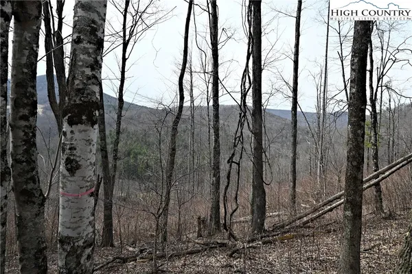 $175,000 | Lot #10 Solitude Lane, Todd, NC 28684