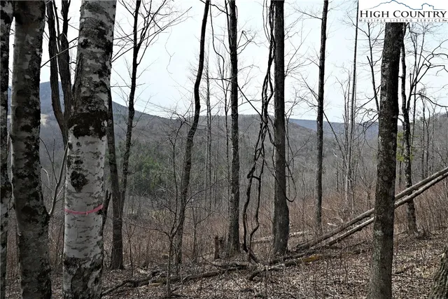 $175,000 | Lot #10 Solitude Lane, Todd, NC 28684