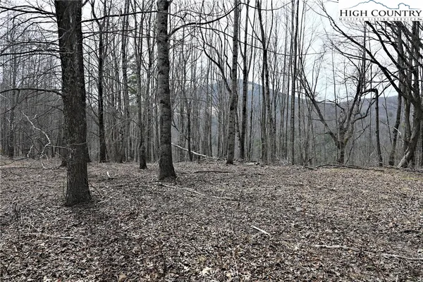 $175,000 | Lot #10 Solitude Lane, Todd, NC 28684
