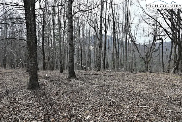 $175,000 | Lot #10 Solitude Lane, Todd, NC 28684