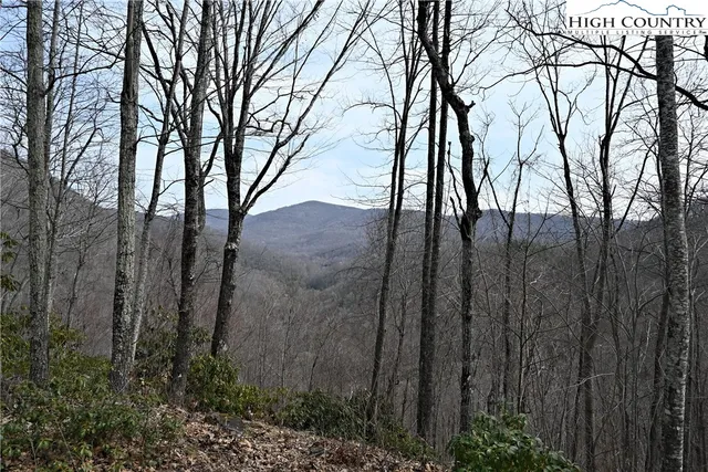$175,000 | Lot #10 Solitude Lane, Todd, NC 28684