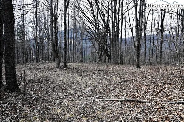 $175,000 | Lot #10 Solitude Lane, Todd, NC 28684
