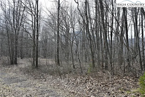 $175,000 | Lot #10 Solitude Lane, Todd, NC 28684