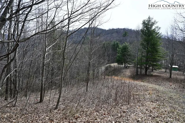 $175,000 | Lot #10 Solitude Lane, Todd, NC 28684