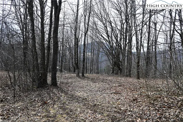 $175,000 | Lot #10 Solitude Lane, Todd, NC 28684