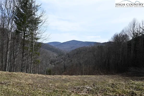 $175,000 | Lot #10 Solitude Lane, Todd, NC 28684