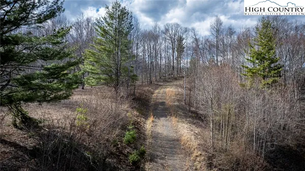$175,000 | Lot #10 Solitude Lane, Todd, NC 28684