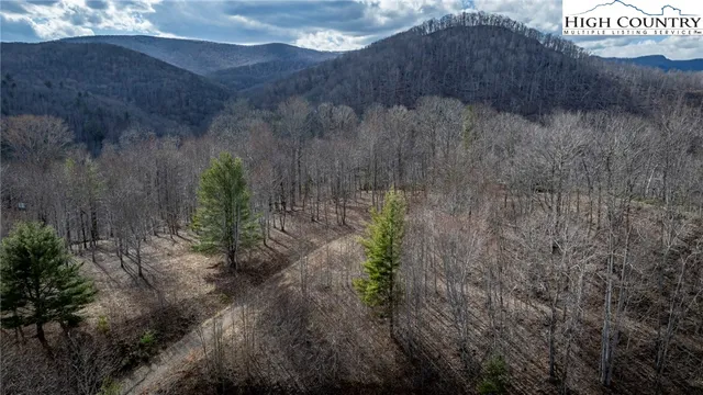 $175,000 | Lot #10 Solitude Lane, Todd, NC 28684