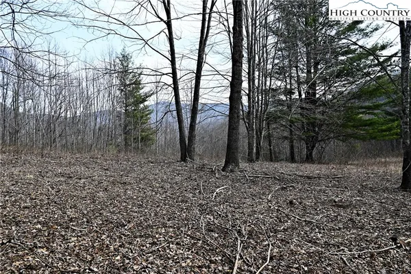 $175,000 | Lot #10 Solitude Lane, Todd, NC 28684