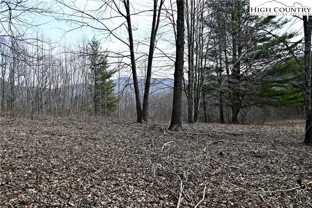 $175,000 | Lot #10 Solitude Lane, Todd, NC 28684