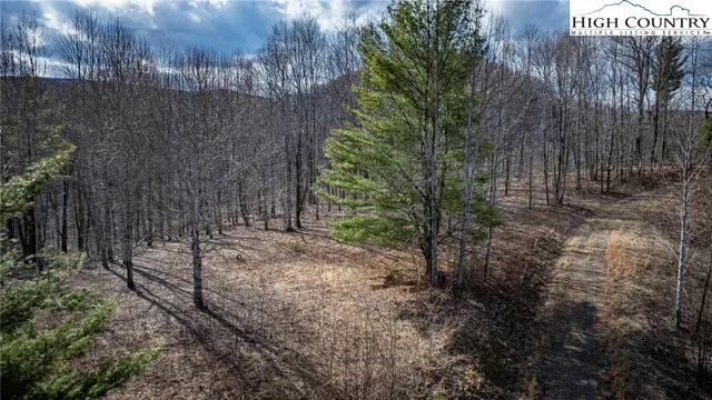 $175,000 | Lot #10 Solitude Lane, Todd, NC 28684