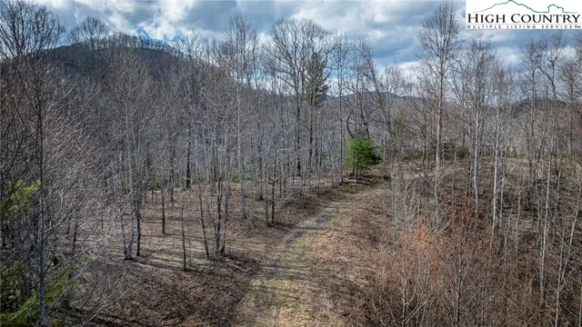 $175,000 | Lot #10 Solitude Lane, Todd, NC 28684