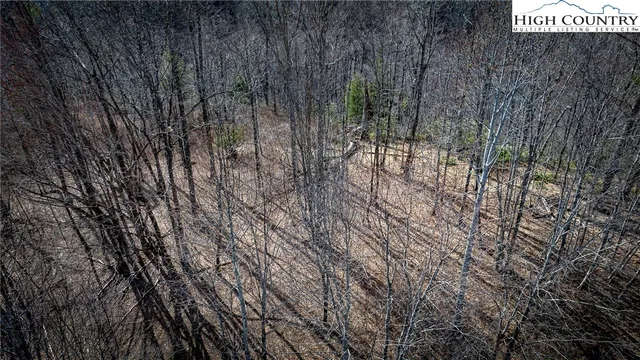 $175,000 | Lot #10 Solitude Lane, Todd, NC 28684