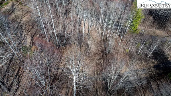 $175,000 | Lot #10 Solitude Lane, Todd, NC 28684