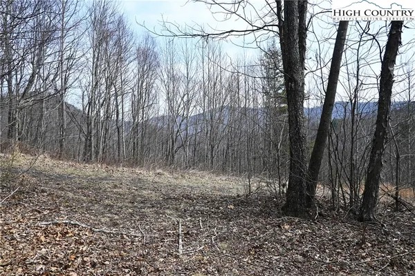 $175,000 | Lot #10 Solitude Lane, Todd, NC 28684