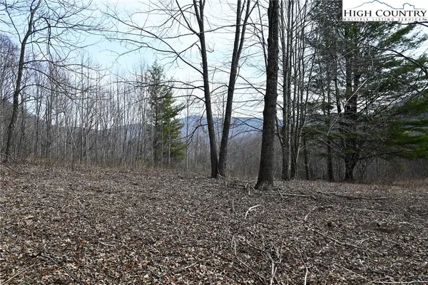 $175,000 | Lot #10 Solitude Lane, Todd, NC 28684