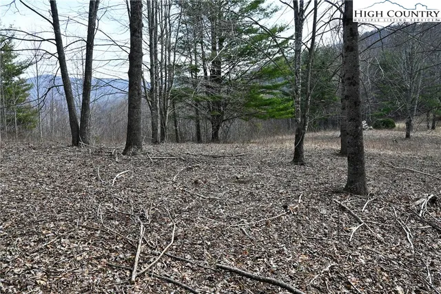 $175,000 | Lot #10 Solitude Lane, Todd, NC 28684