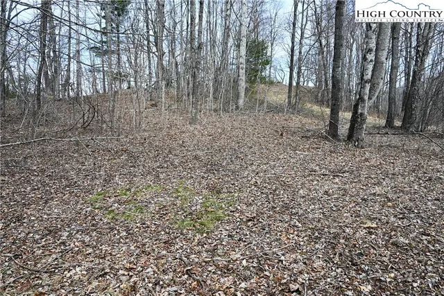 $175,000 | Lot #10 Solitude Lane, Todd, NC 28684