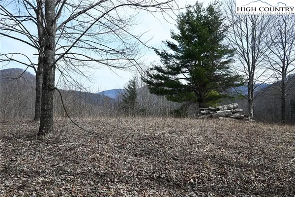 $175,000 | Lot #10 Solitude Lane, Todd, NC 28684