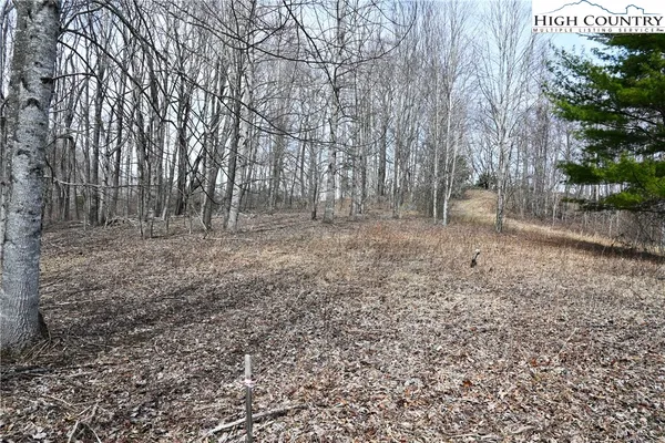 $175,000 | Lot #10 Solitude Lane, Todd, NC 28684