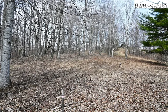 $175,000 | Lot #10 Solitude Lane, Todd, NC 28684