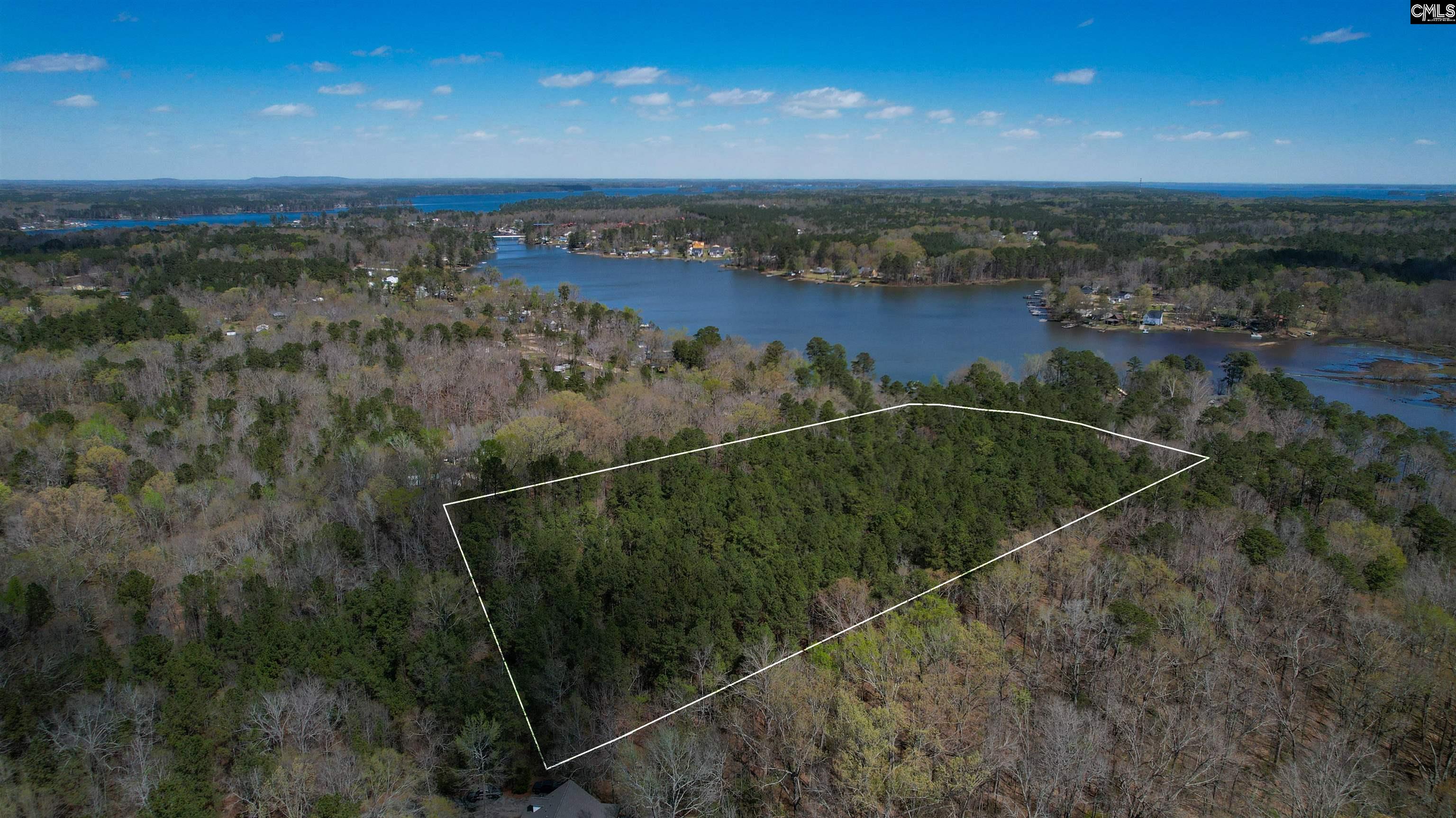 650 Horse Creek Road Leesville, SC 29070 - Photo 6 of 10