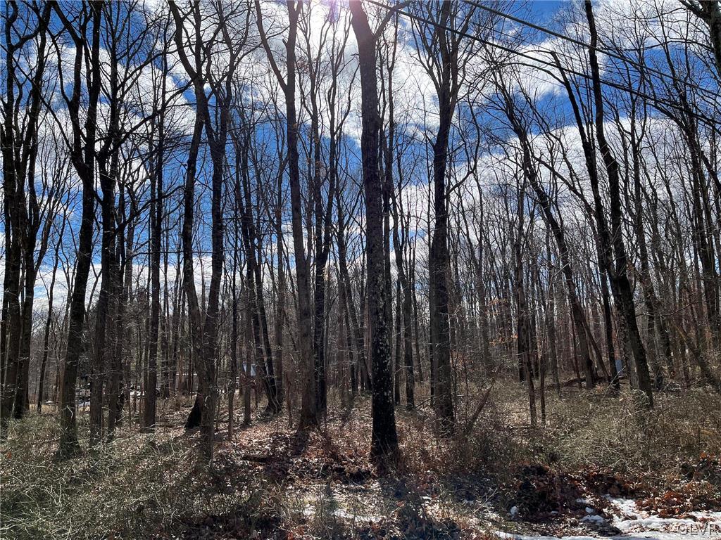 Pohopoco Circle Lehighton, PA 18235 - Photo 8 of 13